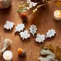 Letterboard Wood Shape Icons - Neutral Leaves (Set of 6)