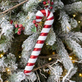 12" Acrylic Candy Cane Ornament - Holiday | Red and White