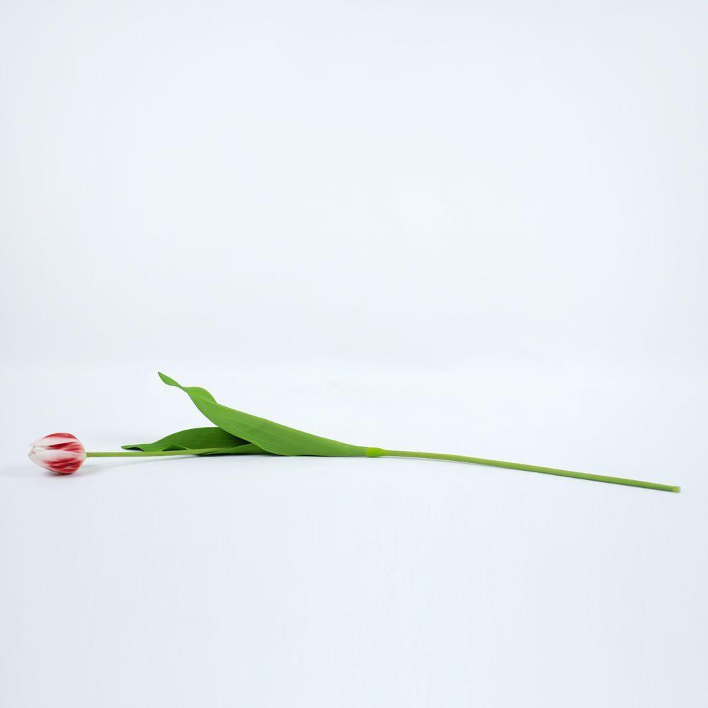 26" Faux Single Stem Tulip - Red