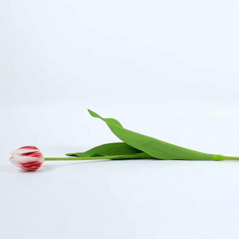 26" Faux Single Stem Tulip, Green/White/Red