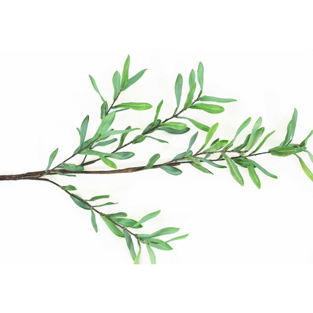 39" Olive Branch - Green | Ollie Olive Collection