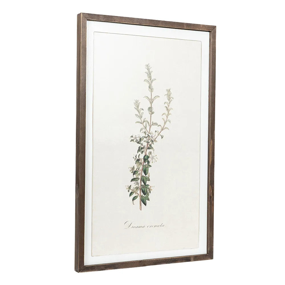 20" x 33" Reversible Wood Frame Sign - Nature | Multicolor | Gileadensis Collection