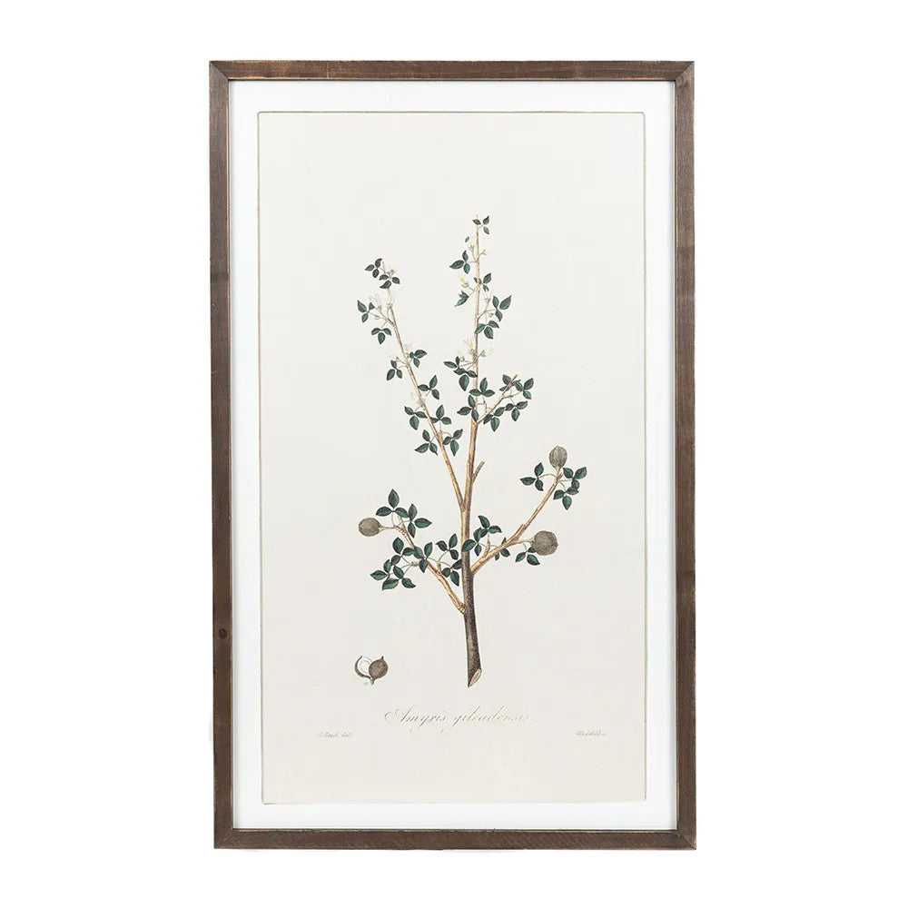20" x 33" Reversible Wood Frame Sign - Nature | Multicolor | Gileadensis Collection