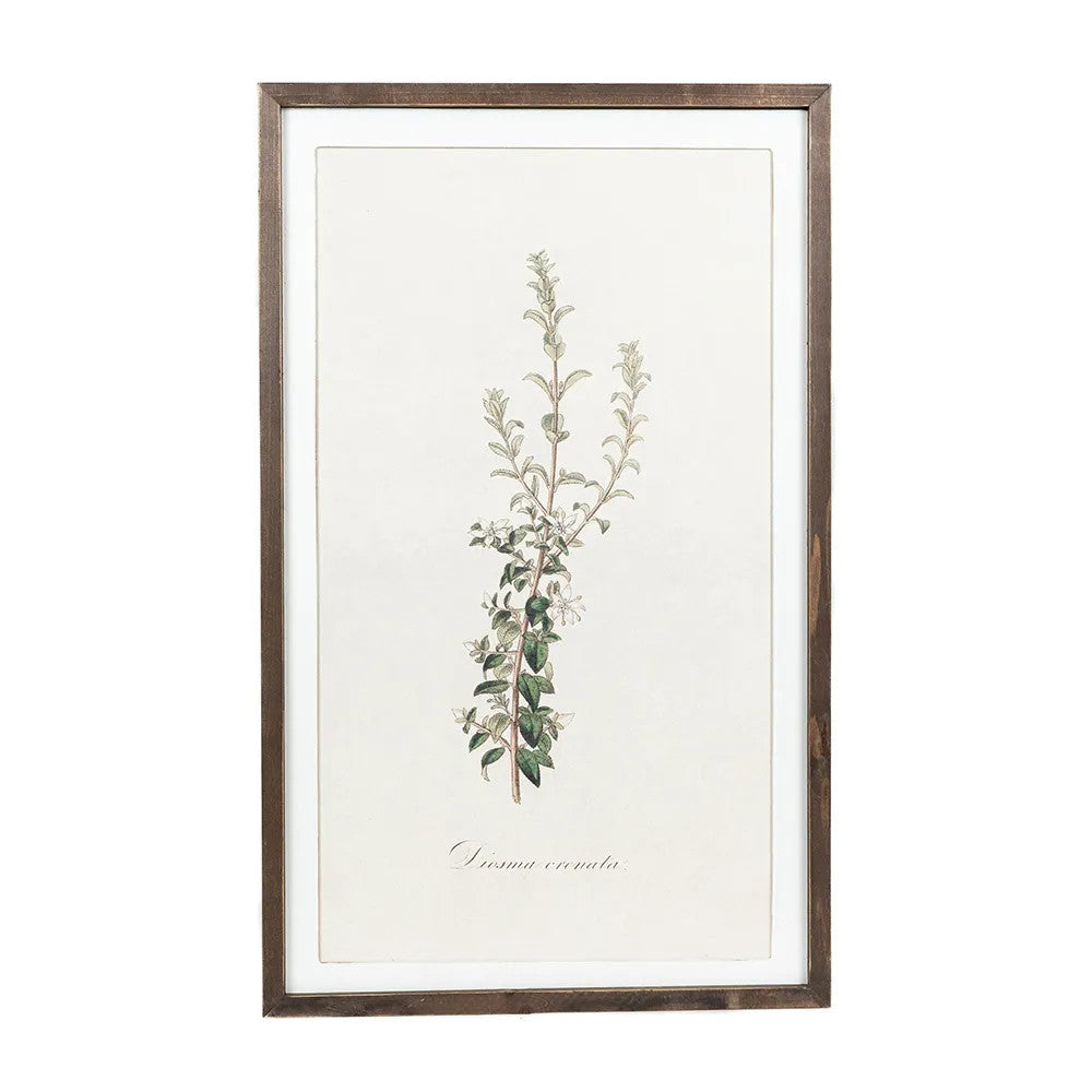 20" x 33" Reversible Wood Frame Sign - Nature | Multicolor | Gileadensis Collection