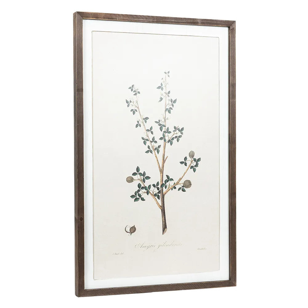 20" x 33" Reversible Wood Frame Sign - Nature | Multicolor | Gileadensis Collection