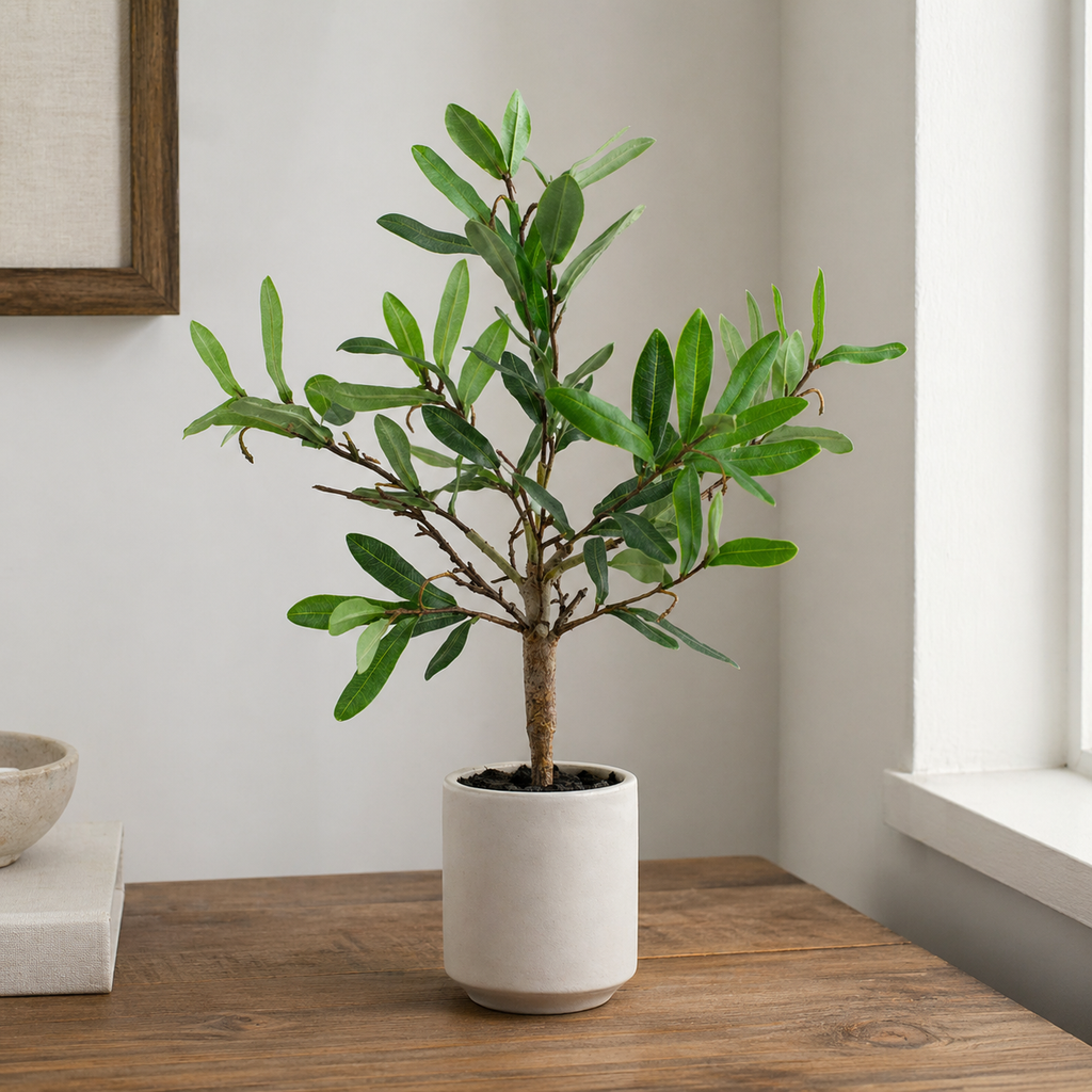 18" Olive Pottery - Green | Ollie Olive Collection