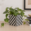 7" x 6" Wood Planter Box - Checkerboard