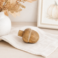 3.5" Mango Wood Shape - Acorn | Natural and White