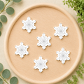 Letterboard Wood Shape Icons - Winter Snowflakes (Set of 6)