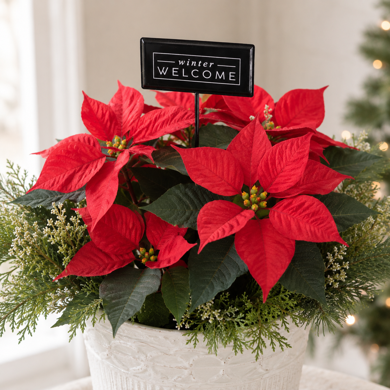 6" Metal Stake Sign - Winter Welcome | Black and White
