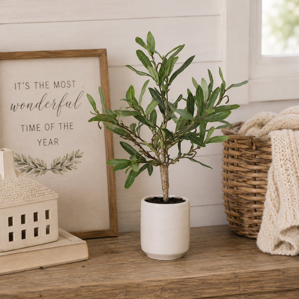18" Olive Pottery - Green | Ollie Olive Collection